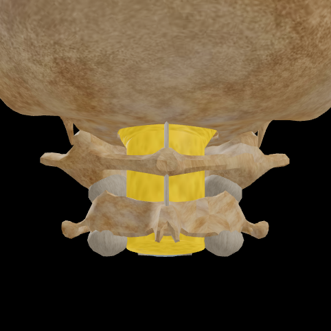 Spine module preview — C1 Segmental Dysfunction